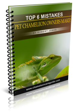 Chameleon Report