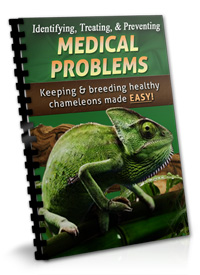 chameleon medical problems